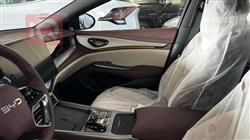 بي واي دي سيل 7